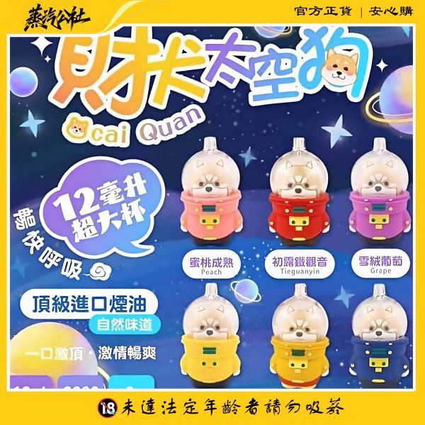 首頁 【財犬太空狗】8000口大容量 可充電 一次性電子煙