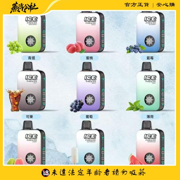 ICE FREEZE 10000 口 抛棄式一次性 四檔涼度調節 20ML煙油 台灣現貨